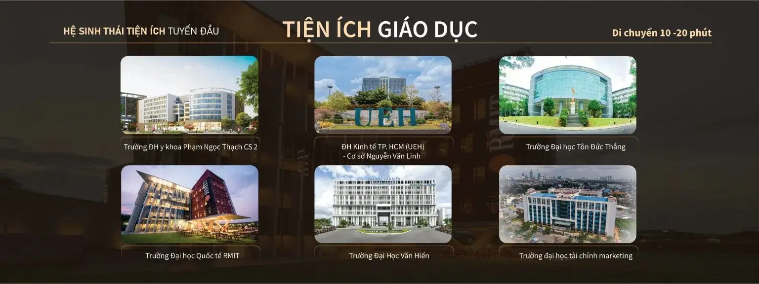 dự án eleva