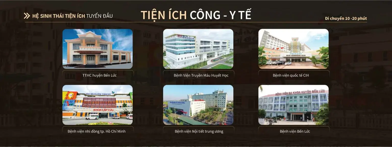 dự án eleva